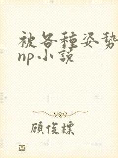 被各种姿势玩弄np小说