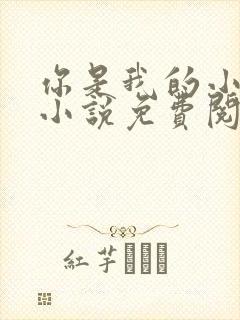 你是我的小确幸小说免费阅读全文