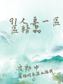 91人妻一区二区精品