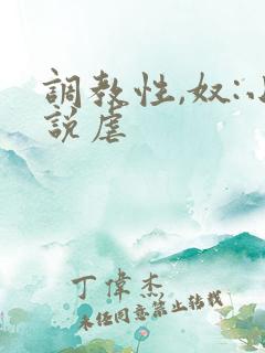 调教性,奴:小说虐