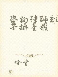 咨询律师离婚孩子抚养权