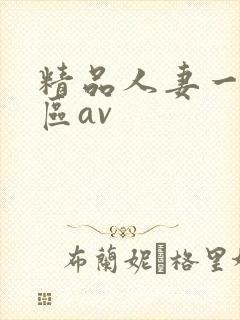 精品人妻一区二区av