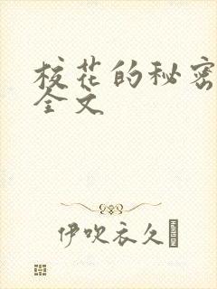 校花的秘密小说全文