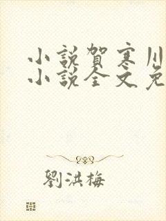 小说贺寒川向晚小说全文免费阅读