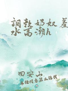 调教奶奴羞辱喷水高潮h