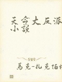 天命大反派杨麟小说