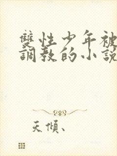 双性少年被绑架调教的小说