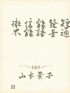 微信能发短信 不能语音通话