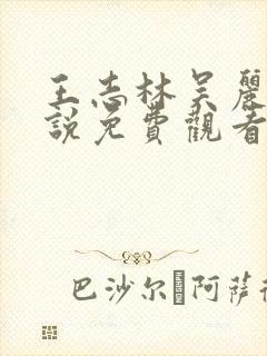 王志林吴丽云小说免费观看正版