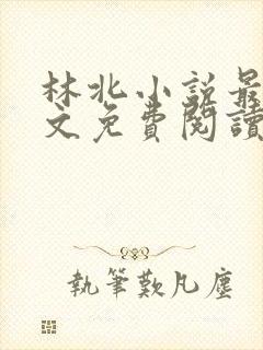 林北小说最新全文免费阅读