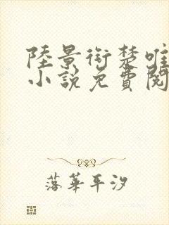 陆景衔楚唯宁的小说免费阅读最新章节