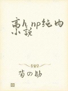 高h np纯肉小说