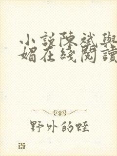 小说陈斌与赵心媚在线阅读