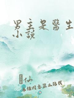 男主是医生言情小说