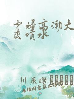 少妇高潮大叫好爽喷水