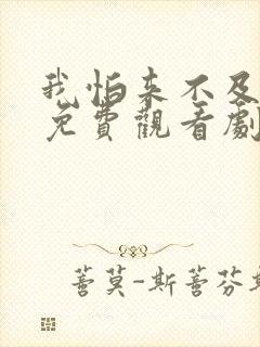 我怕来不及电视免费观看剧