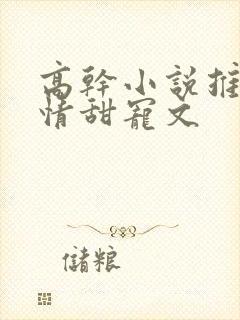 高干小说推荐言情甜宠文