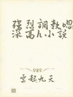 强烈调教嗯啊好深高h小说