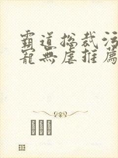 霸道总裁污文甜宠无虐推荐