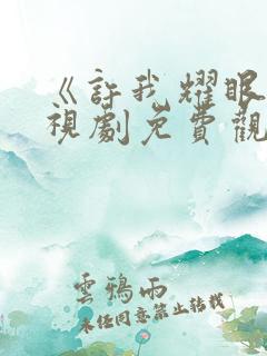 《许我耀眼》电视剧免费观看全集24