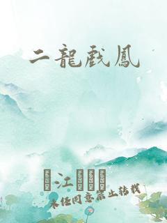 二龙戏凤
