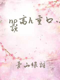 np高h重口小说
