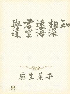 与君远相知,不道云海深