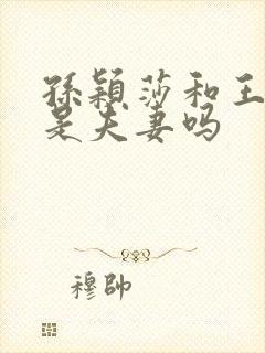 孙颖莎和王楚钦是夫妻吗