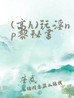 (高h)玩淫np黎秘书