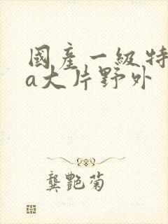 国产一级特黄aa大片野外