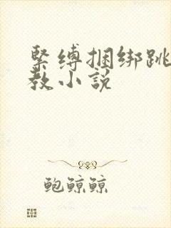 紧缚捆绑跳蛋调教小说