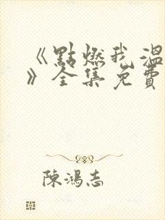 《点燃我温暖你》全集免费观看