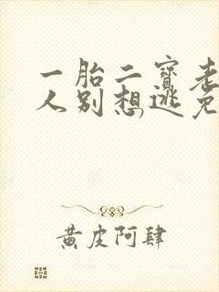 一胎二宝老婆大人别想逃免费阅读