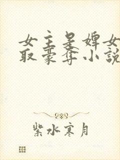 女主是婢女被强取豪夺小说