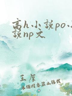 高h小说po小说np文