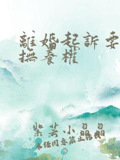 离婚起诉要孩子抚养权