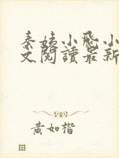 秦姨小飞小说全文阅读最新章节