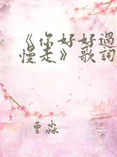 《你好好过我慢慢走》歌词