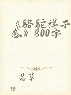 《骆驼祥子读后感》800字