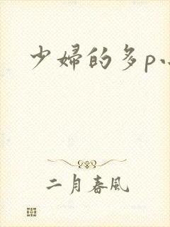 少妇的多p小说