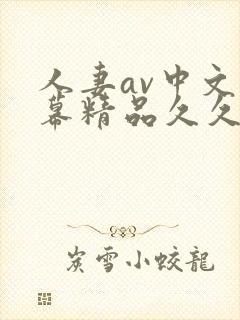 人妻av中文字幕精品久久久