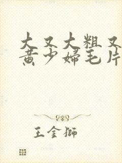 大又大粗又爽又黄少妇毛片口