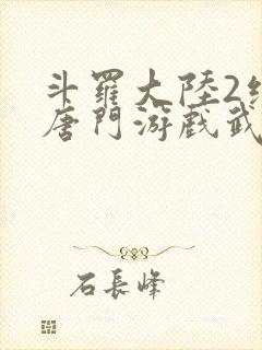 斗罗大陆2绝世唐门游戏武魂