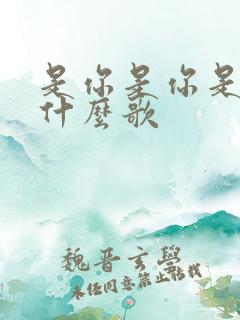 是你是你是你是什么歌