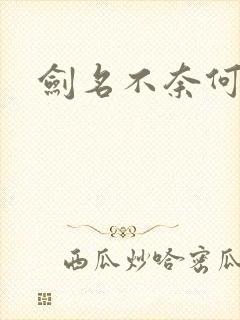剑名不奈何剧透
