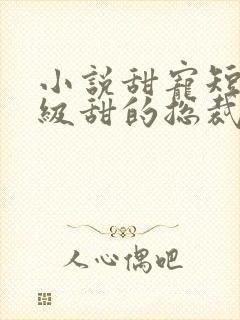 小说甜宠短篇超级甜的总裁文