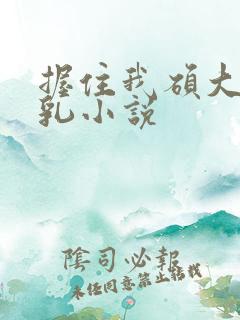 握住我硕大的双乳小说