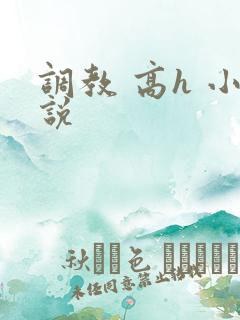调教 高h 小说