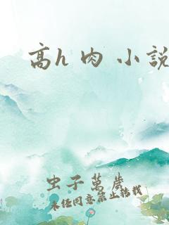 高h 肉 小说