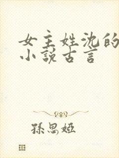 女主姓沈的重生小说古言